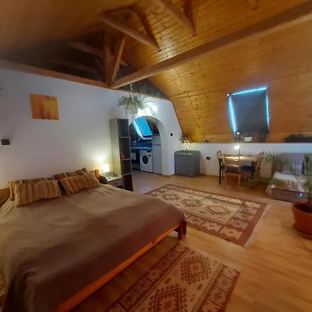Attila-apartman Apartment Budaors